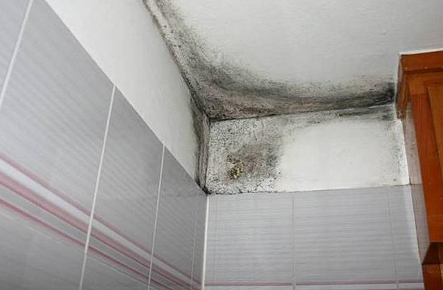 humedad-por-condesacion-en-techo-habitacion - : Soluciones  para los problemas de humedad en las viviendas.